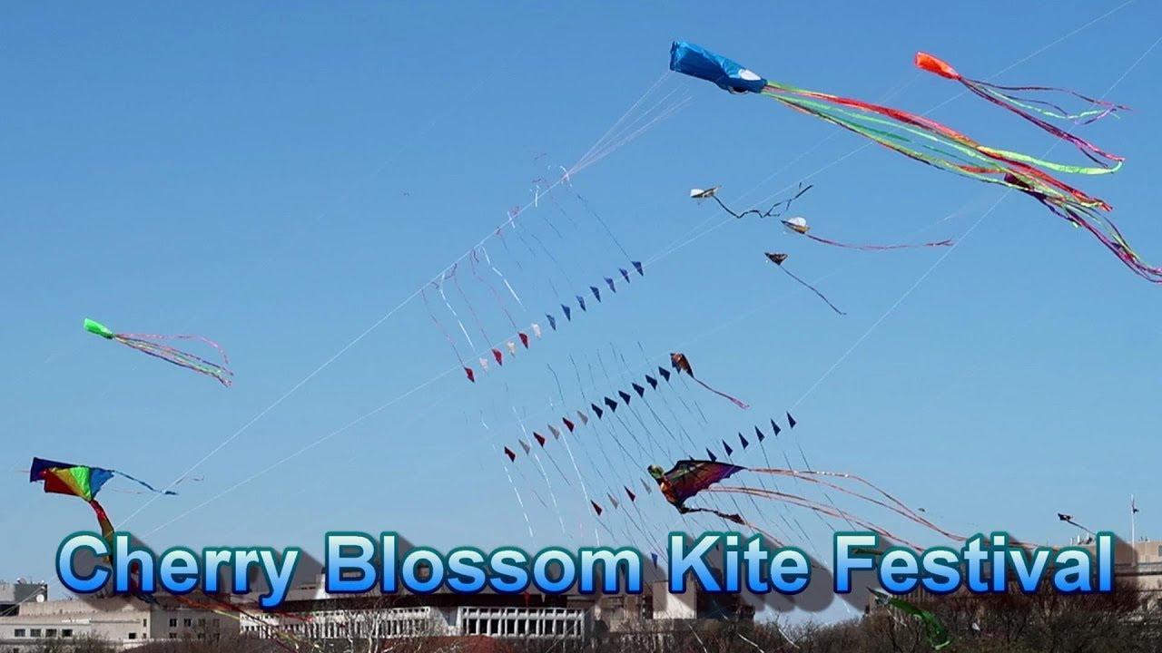 Cherry Blossom Kite Festival 2018 in Washington DC YouTube