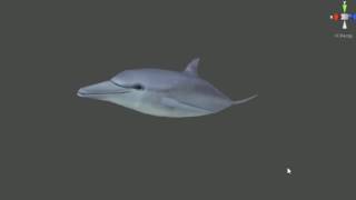 unity 3D low poly dolphin