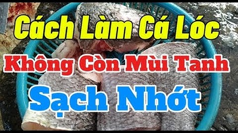 Cách Làm Cá Lóc. Sạch Nhớt không Còn Mùi Tanh