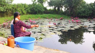 Fishing Video|| The girl is fishing with a hook in a pond full of shaluk flowers || Fish hunting