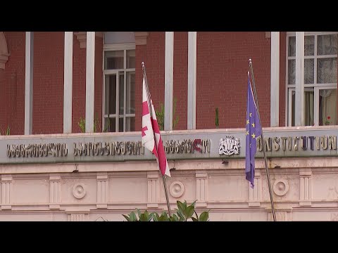 სადავო გადაწყვეტილება და საკონსტიტუციო სარჩელი