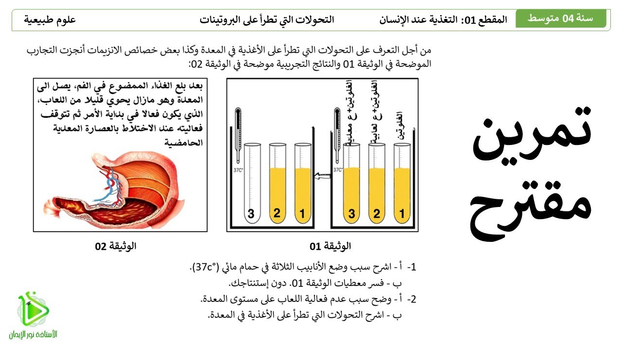 تمرين الإستدلال العلمي حول هضم البروتينات على مستوى المعدة وخصائص الإنزيمات علوم طبيعية سنة 04 متوسط