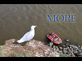 Море