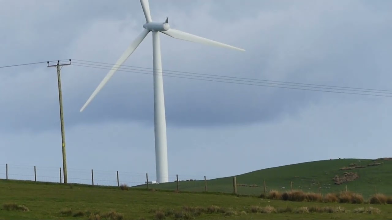 Lot 48: Nap -15.5.24 Farmers Marts Dolgellau Online Sheepdog Auction