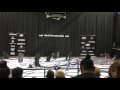 Narcissus  cgt dallas  wgi io prelims