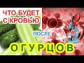 Как ОГУРЦЫ влияют на кровь человека