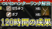 Mhxx 村10キークエ Part19 初見プレイ Youtube Mhxx 村10キークエ Part19 初見プレイ Youtube