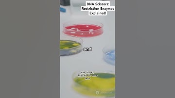 DNA Scissors: Restriction Enzymes Explained! #facts #science #botany #biology #restrictionenzymes