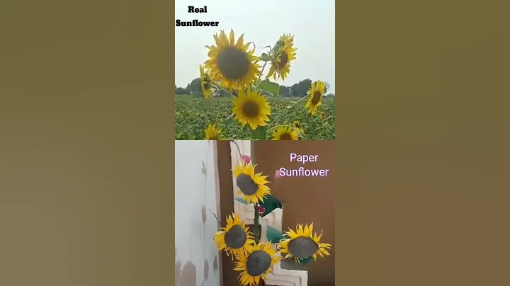 Real v/s Paper Sunflower #shorts #ytshort #youtubeshorts #realvsfake #viralshorts