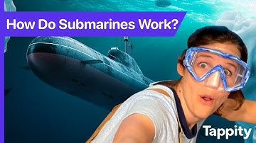 How Do Submarines Work? | Engineering for Kids | Ask Tappity: Science Questions & Answers