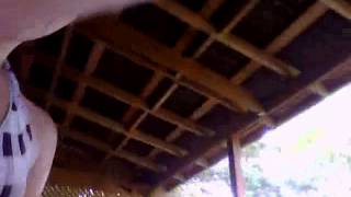 Capture 20130615