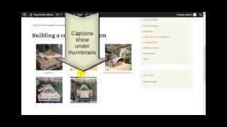 Wordpress Photo Gallery - Easy Photo Album - 03 Captions screenshot 4