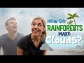 How Do Rainforests Make Clouds? | Maddie Moate