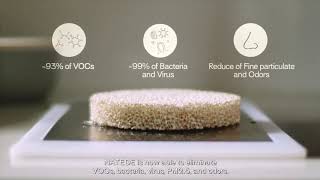 Natede By Vitesy, The Most Amazing Smart Natural Air Purifier