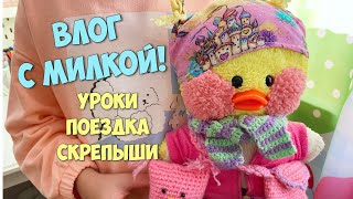 ВЫХОДНЫЕ С УТОЧКОЙ МИЛКОЙ! Покупки к Хэллоуину, поездка к бабушке, последние скрепыши! Милка и Ксюша