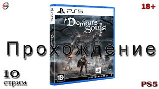 Demons Souls PS5 - Прохождение - 10 Стрим - SteepGamer