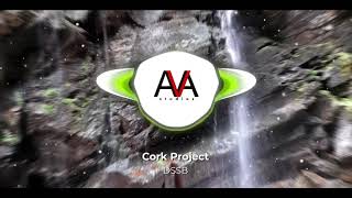 Cork Project - DSSB
