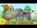 Animales Inteligentes Episodio Compilación (Español) - Leo, El Explorador Episodio | Animación