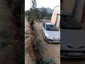 المنظر البدوي والفلاح وماينتجه من الارض 
