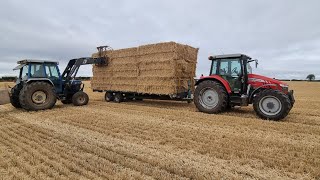 Loading and stacking wheat straw bales.