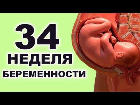 Видео: Как часто ваш ребенок должен двигаться в 34 недели?