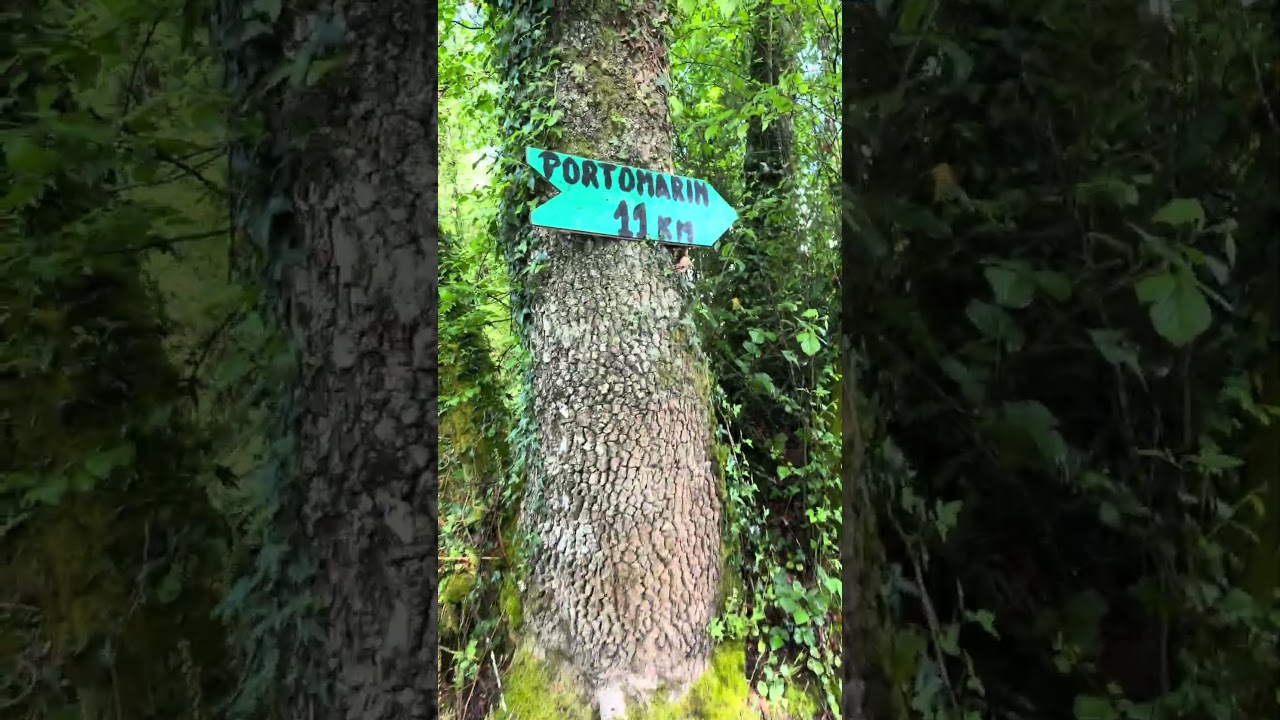 Tranquil hiking trail #caminodesantiago #hikingtrails #spain