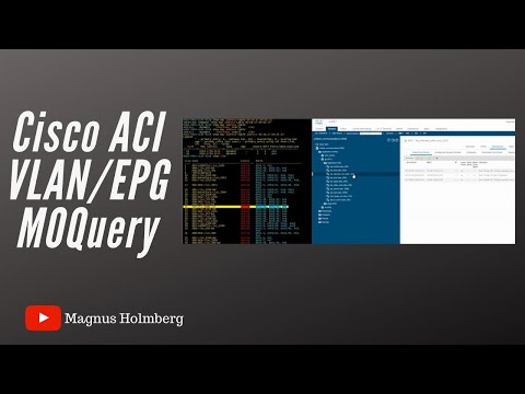 Cisco ACI - Checking the VLAN/EPG within CLI