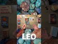 Leo ♌ The Wait Is Over | #tarot #weeklyguidedmessages #dailytarot