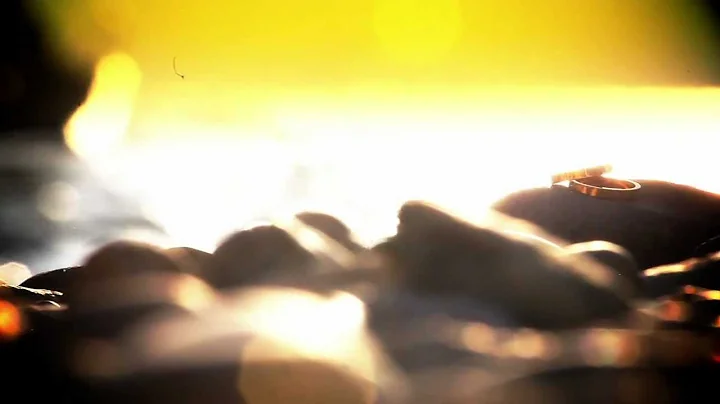 Jason and Michelle, a Chinese wedding