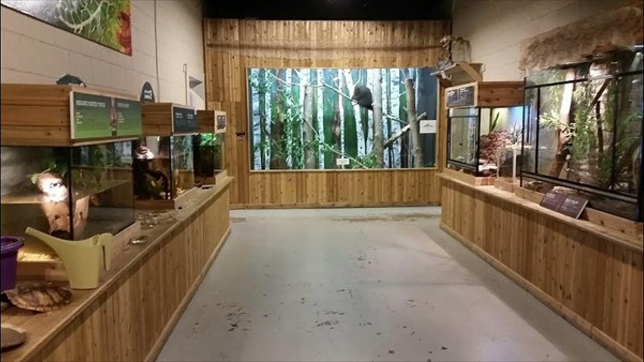 Little Ray's Reptile Zoo & Nature Centre Ottawa Ontario Canada 2023