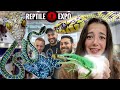 Rarest reptiles at toronto reptile expo