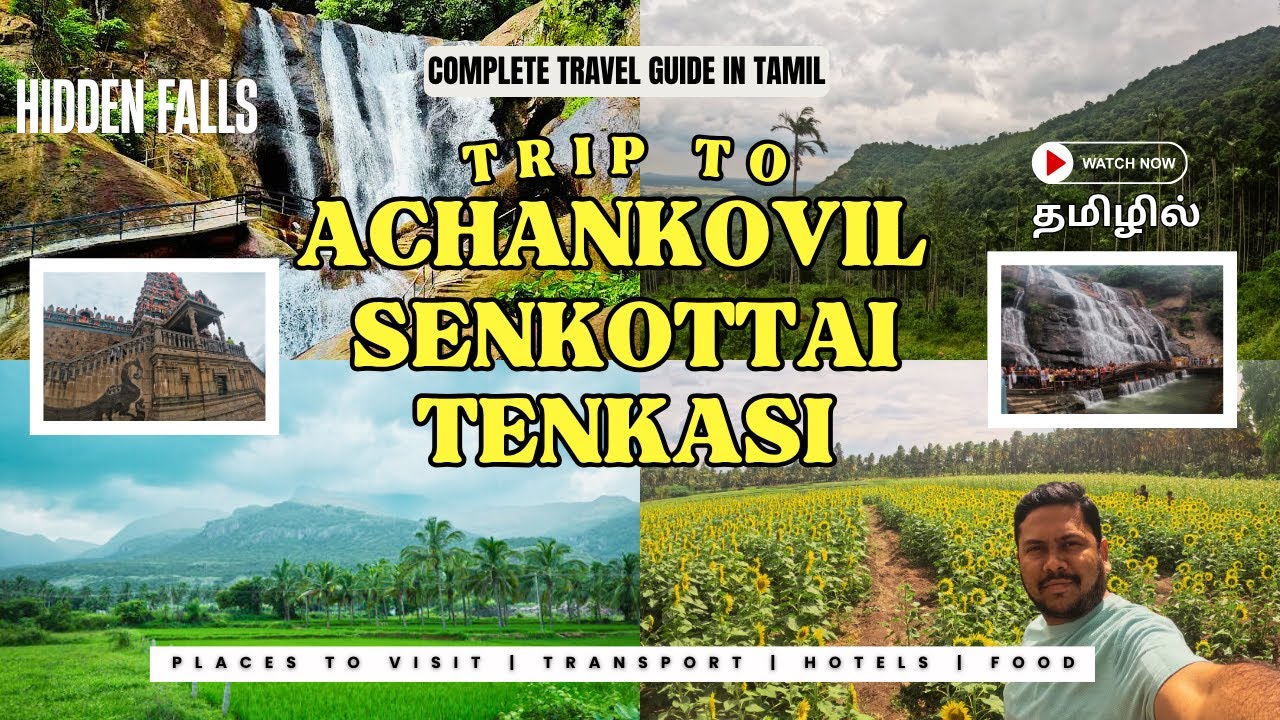 Tenkasi Hidden Paradise 🌻💦 | Manalar Falls, Kumbhavurutty, Gundaru Dam Boating, Sunflower Farm