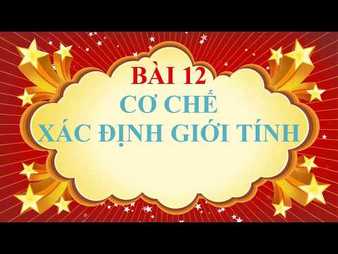 Video Sinh học lớp 9 - Bài 12 - Cơ chế xác định giới tính - youtube