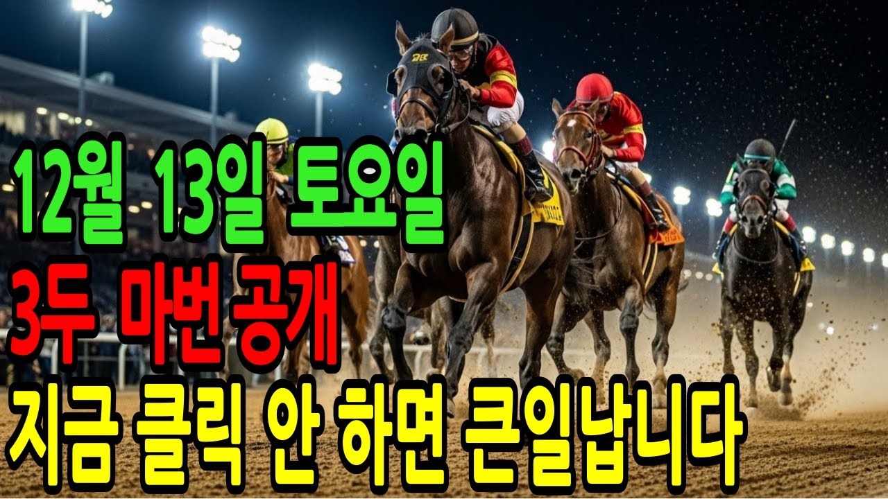 12월 13일 토요일 경마~“이미 많은 분들이 봤습니다,  안 보면 후회합니다.”ㅣ승전경마 전문가의 이변 포착 l 경마 l 경마예상 l 코리아레이스 l 검빛경마 ㅣ경마정보