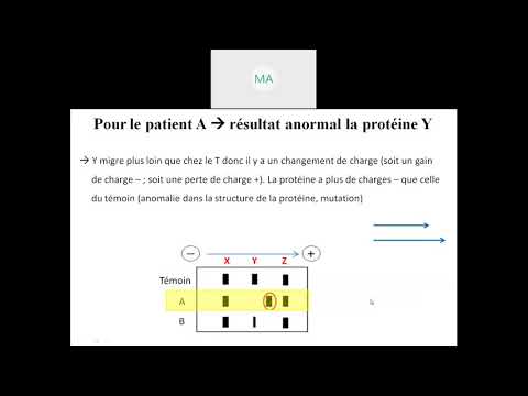 Vidéo: Progrès Récents Dans La Modélisation à Base De Cellules Souches Humaines Du Complexe De La Sclérose Tubéreuse