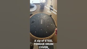 Thumbnail of a sip of steel tongue drum cover - a whole new world