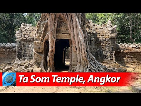 Video: Tempuj që duhen parë në Angkor, Kamboxhia