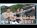 【少年，這一工】EP.18｜重型oo-tóo-bái僫停車？敢有通解決？