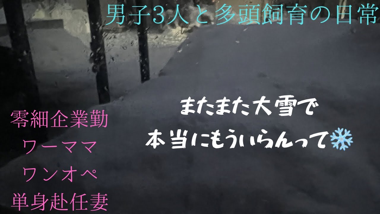 《帰宅後Routine》早く大人になりたいって子供は言うけど大人からしたら子供が羨ましいよ…#ワーママ#ワンオペ #単身赴任 #大雪 #多頭飼い 