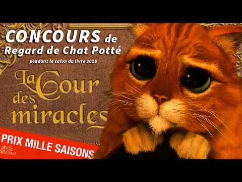 Concours De Chat Potte Au Salon Du Livre 15 Youtube