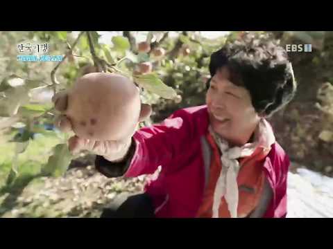 한국기행 - Korea travel_그리워라, 가을 <strong>소리</strong> 4부- 참 좋다, 울 <strong>엄마</strong> 목소리_#001