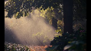 Близнецовое пламя. Суть феномена. Повторное пояснение