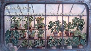 Sunlight Through the Greenhouse Windows | 25 Min Calming Folk & Acoustic Guitar for Gentle Focus screenshot 4