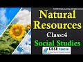 Natural Resources: Understanding Renewable and Non-Renewable Essentials