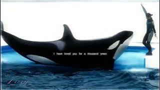 ❦︎ㅤ𝐀ㅤ𝐓нσυѕαη∂ㅤ𝐘єαяѕㅤ-ㅤ𝐋σνєуㅤ&ㅤ𝐌αкαηι