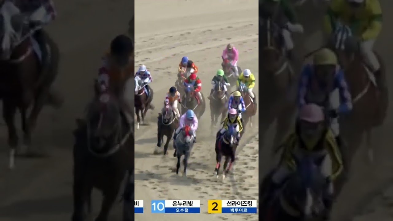 19배두방으로적중