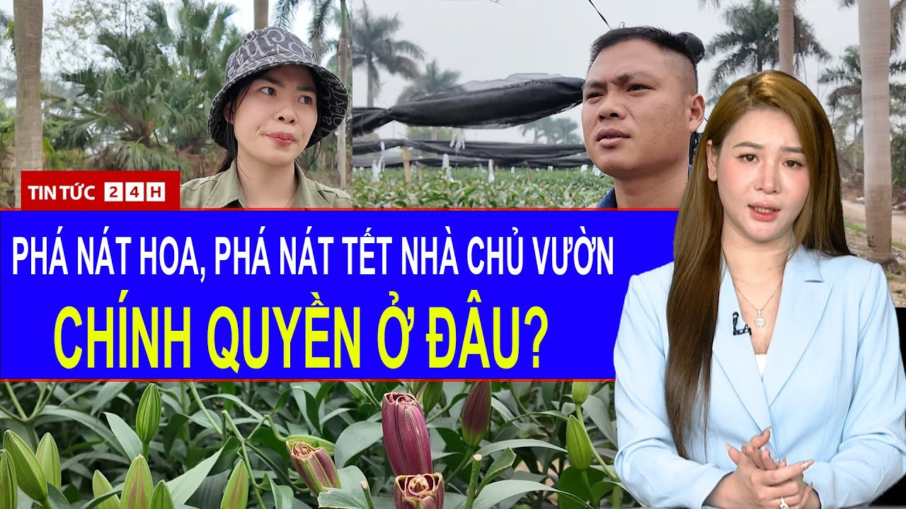 Toàn Cảnh Vụ Phá Hoa Tết Gây Phẫn Nộ: Cắt Hoa, Cắt Luôn “Miếng Cơm” Người Trồng | Tin Tức Việt Nam