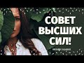 СОВЕТ ОТ ВЫСШИХ СИЛ! КАК ВИДЯТ ВЫСШИЕ СИЛЫ ВАШУ СИТУАЦИЮ? ВАМ НАДО ЭТО ЗНАТЬ! расклад на судьбу