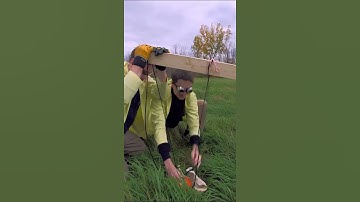 Pumpkin Catapult! 🎃 Science Max