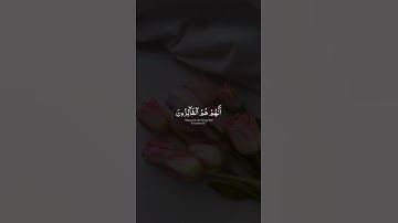 اكتب شي تؤجر عليه 🤍 | قرآن كريم بصوت جميل